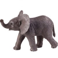 Aafrika elevandipoeg – kõrvad püsti