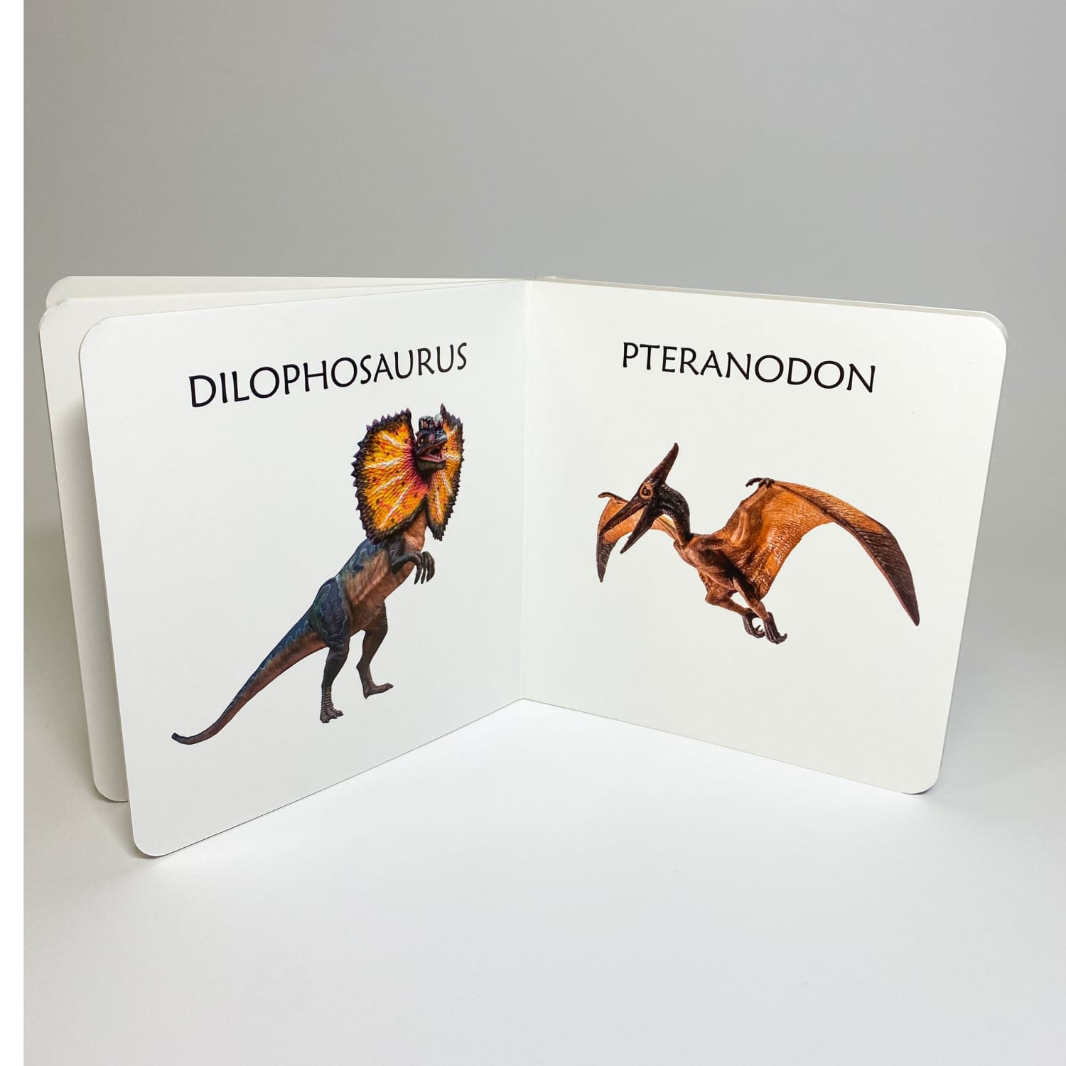 realistlike piltidega raamat dinosaurustest