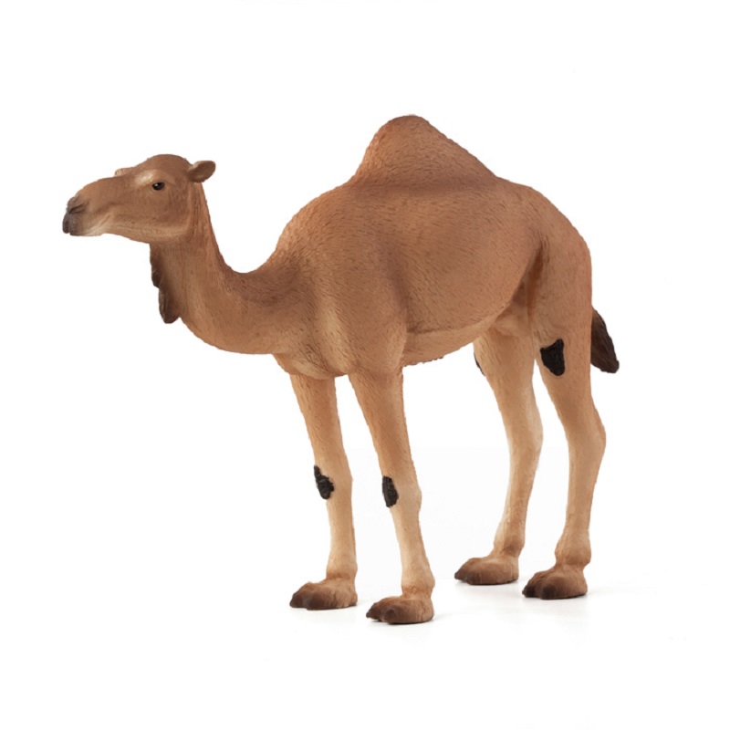 kaamel loomafiguur