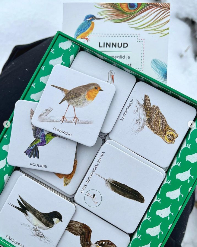 realistlik lindude memoriin lauamäng lastele linnuraamat mis lind on