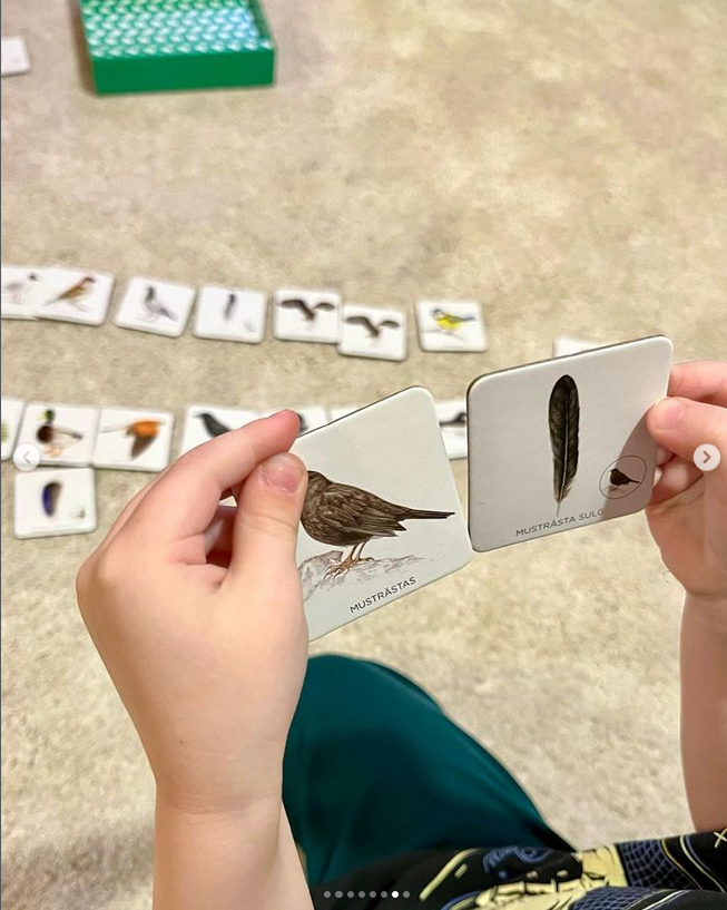 realistlik lindude memoriin lauamäng lastele linnuraamat mis lind on