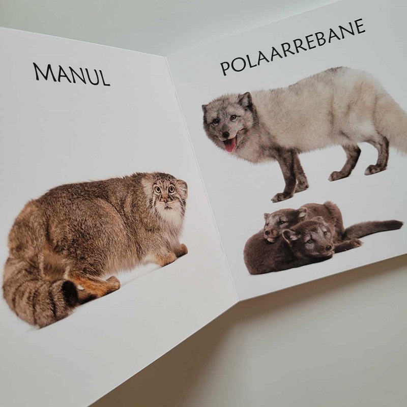 polaaralade loomadega realistlik raamat