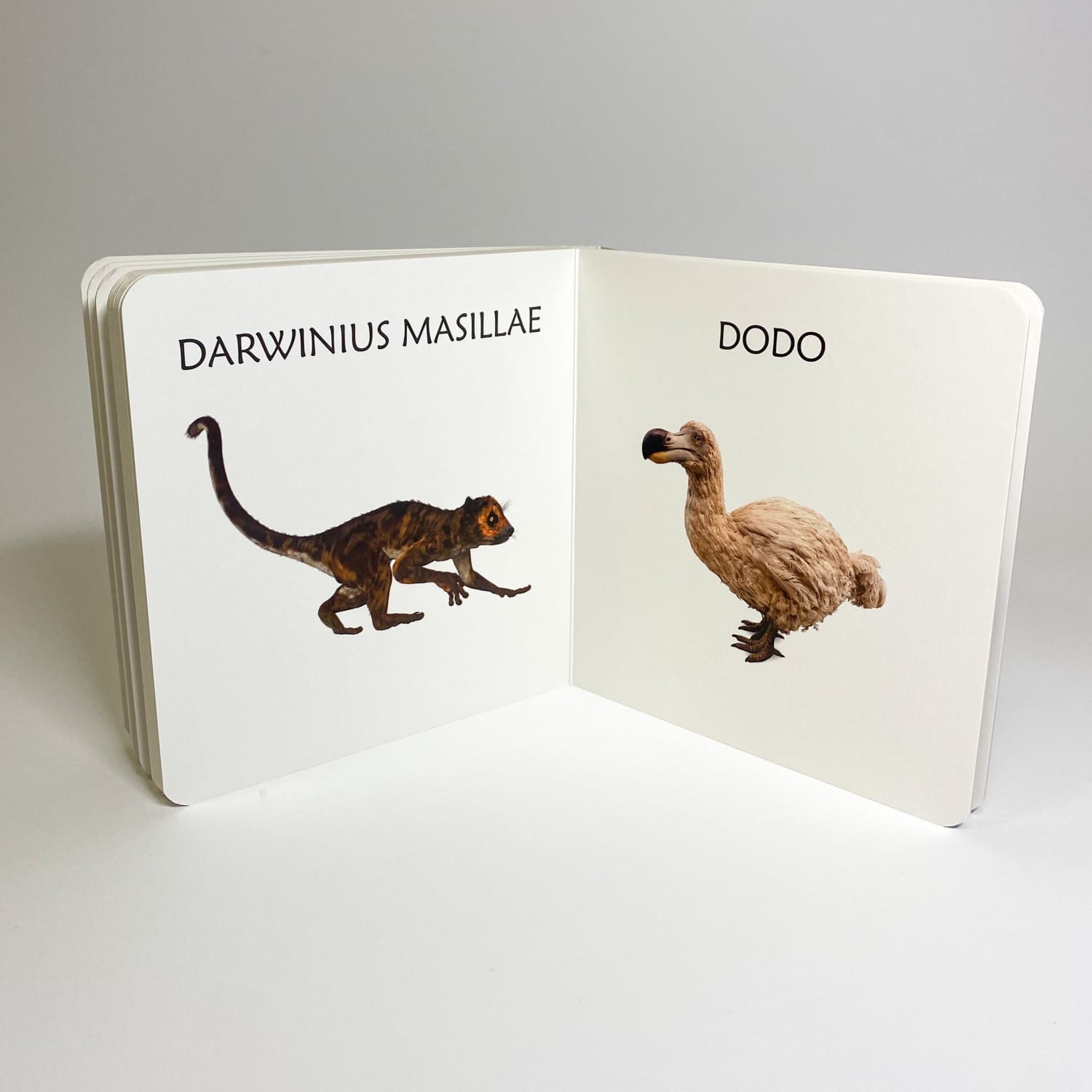 ürgloomadest realistlik raamat