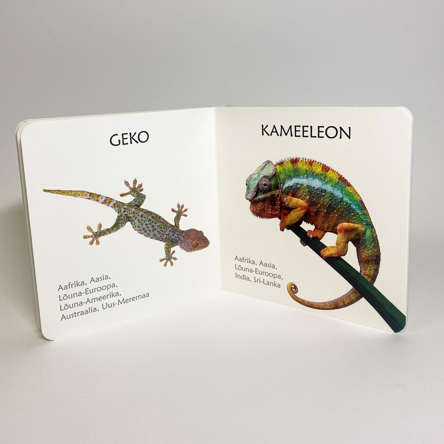 eksootilistest loomadest realistlik raamat