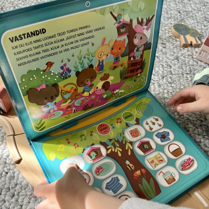 mida kinkida lapsele raamatud meisterdamisvahendid kunstitarvikud mänguasjad kingiideed