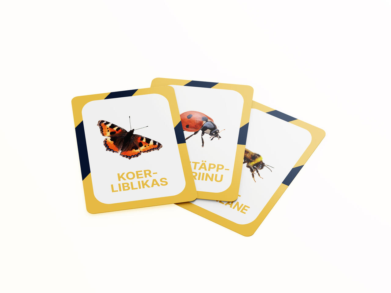 õppekaardid tegevuskaardid Eesti putukad putukakaardid õpime loodust