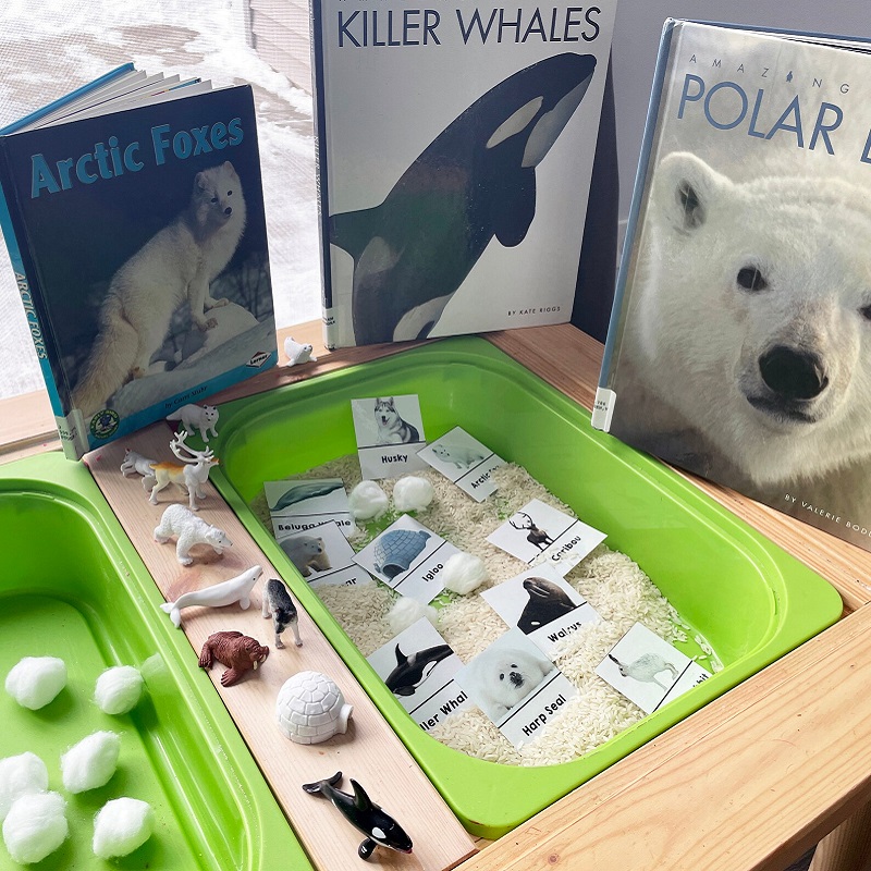 realistlike loomafiguuride komplekt arktika loomad jääkaru polaarloomad