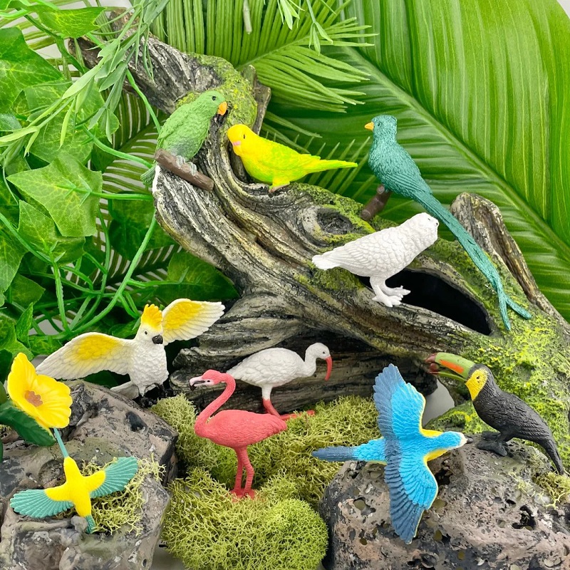 realistlike loomafiguuride komplekt aialinnud linnud lind linnukesed realistlikud linnufiguurid safari