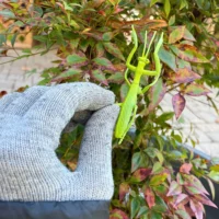 putukatega realistlike loomafiguuride komplekt liblikas kiil mesilane rohutirts
