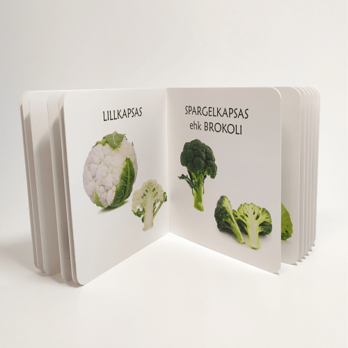 maitsvad köögiviljad raamat realistliku sisuga raamat