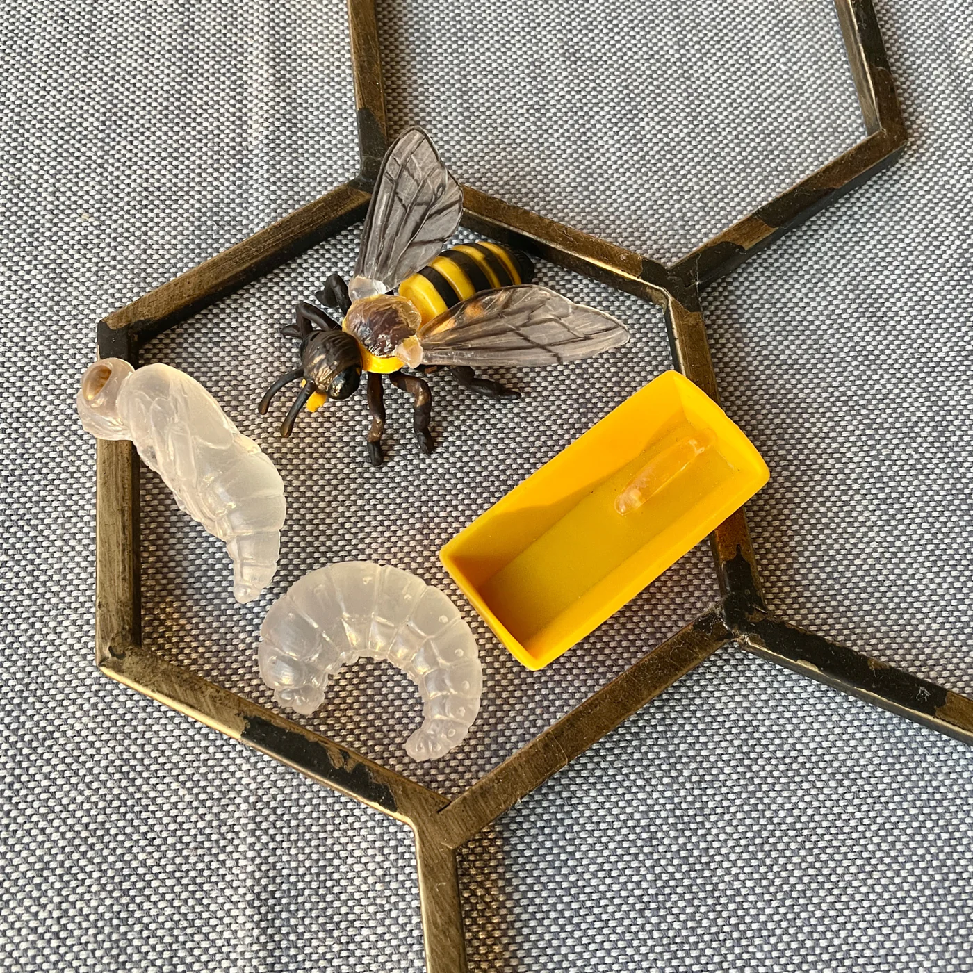 mesilase eluring realistlikud loomafiguurid loomakujukesed bioloogia