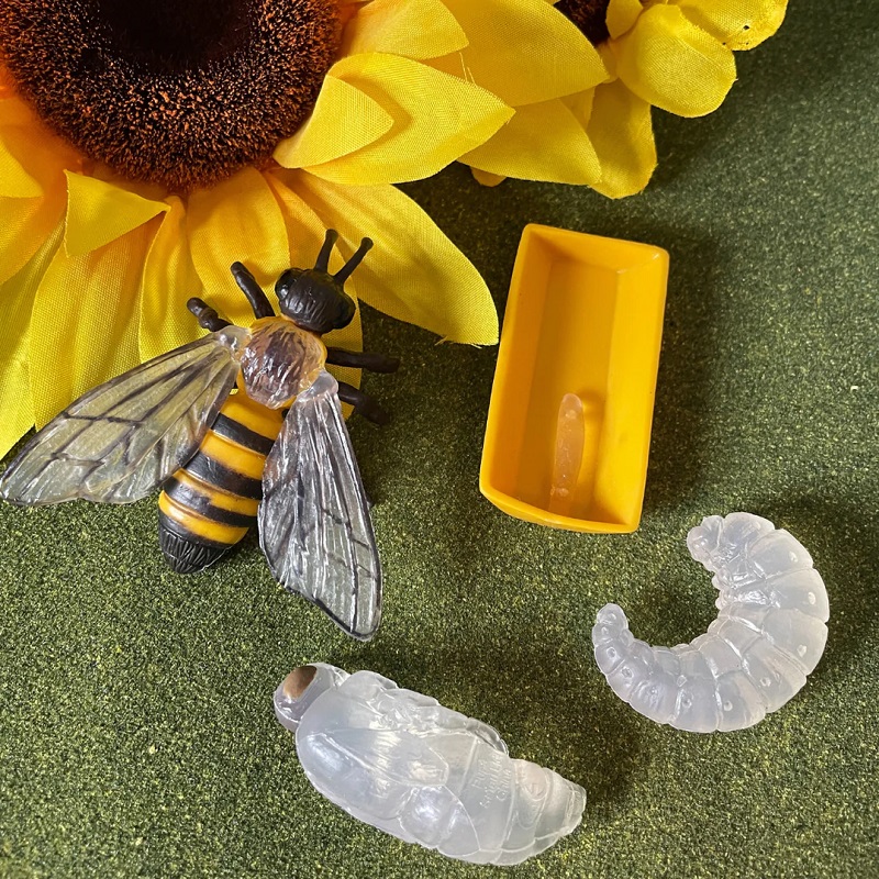 mesilase eluring realistlikud loomafiguurid loomakujukesed bioloogia