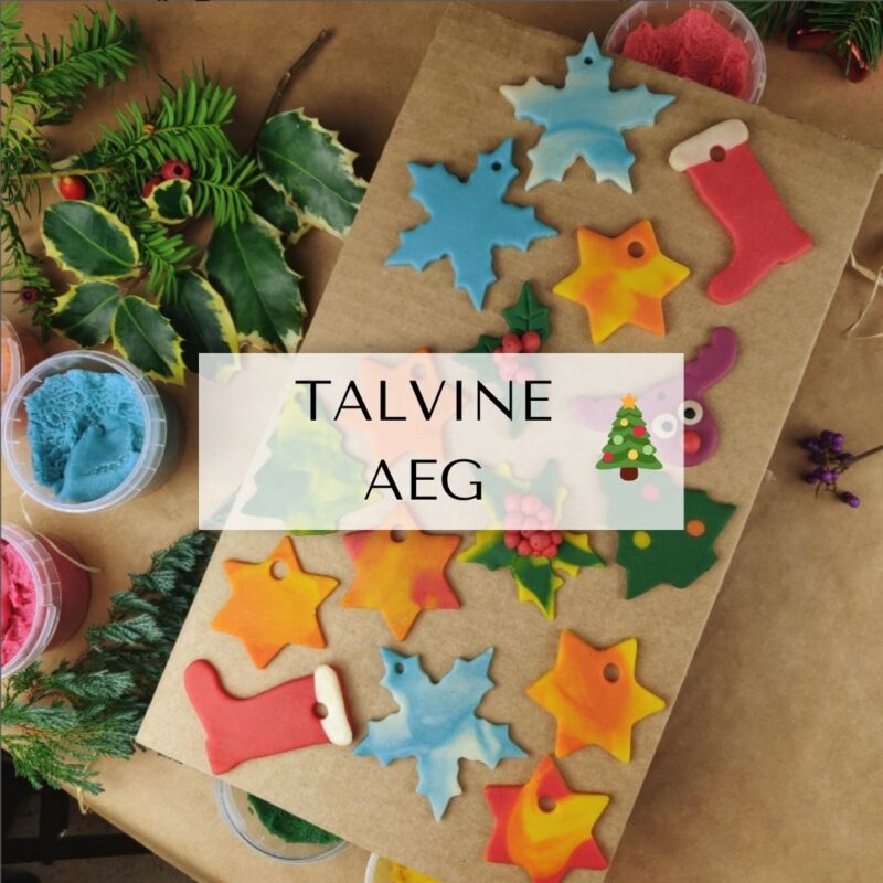 TALVINE AEG 🎄