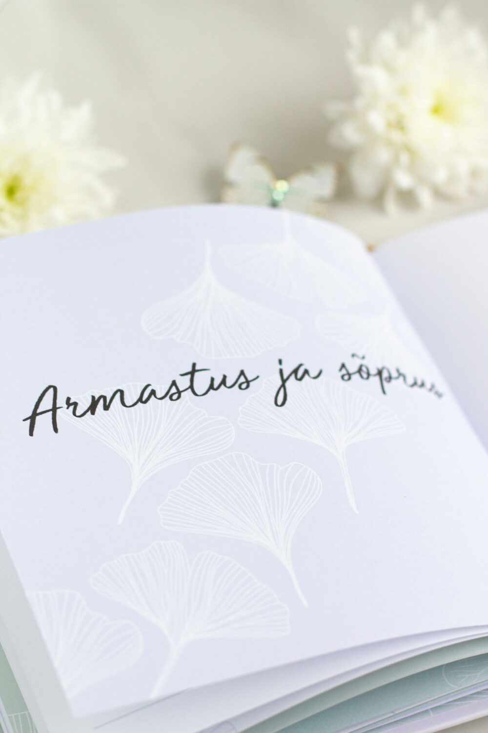 Mälestusteraamat üle 100 küsimusega vanavanema eluloo jäädvustamiseks - väärtuslik kingiidee vanaemale ja vanaisale