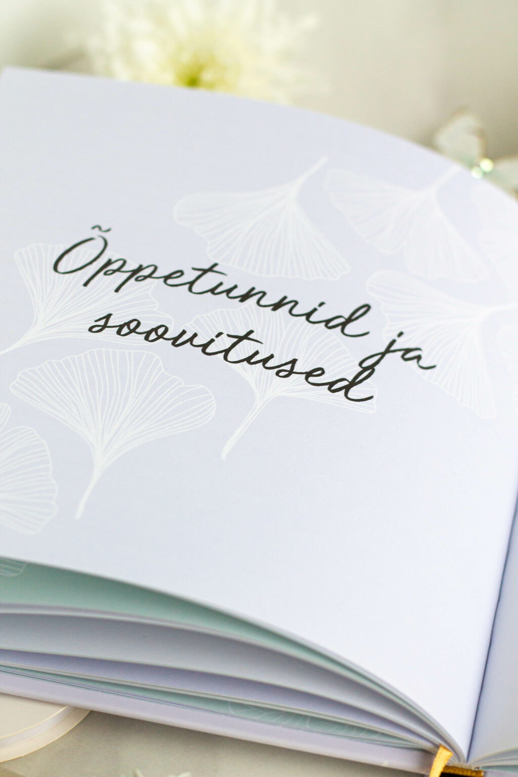 Mälestusteraamat üle 100 küsimusega vanavanema eluloo jäädvustamiseks - väärtuslik kingiidee vanaemale ja vanaisale