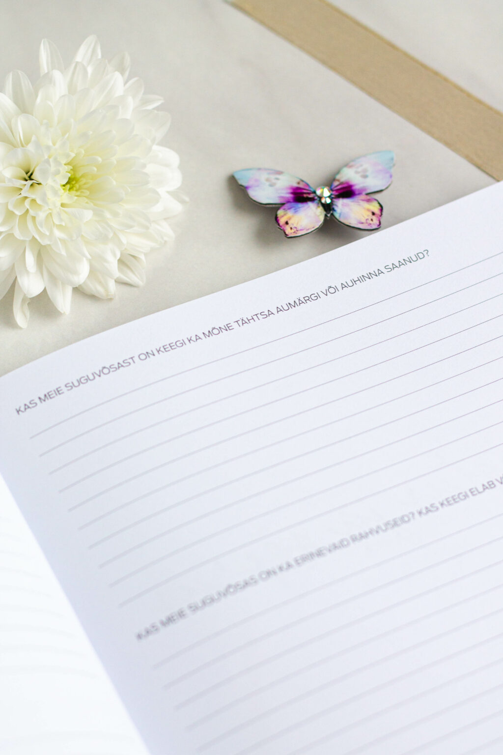 Mälestusteraamat üle 100 küsimusega vanavanema eluloo jäädvustamiseks - väärtuslik kingiidee vanaemale ja vanaisale