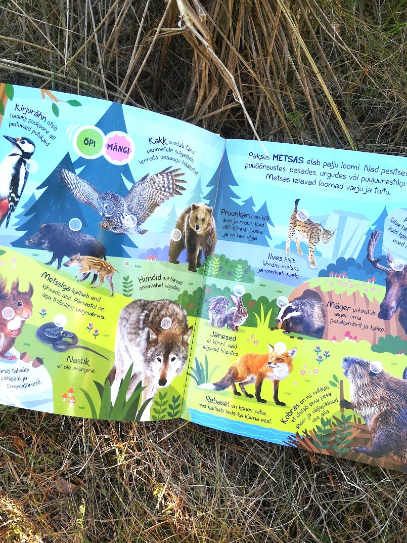 „Heliraamat „Kuula ja Õpi: Loomad Maailma Eri Paigust“ – interaktiivne pappraamat lastele.“ „Loomade häälitsustega raamat, mis aitab lastel õppida ja avastada maailma loomi.“ „Heliraamat küsimuste ja vastustega – hariv ja lõbus viis õppimiseks.“