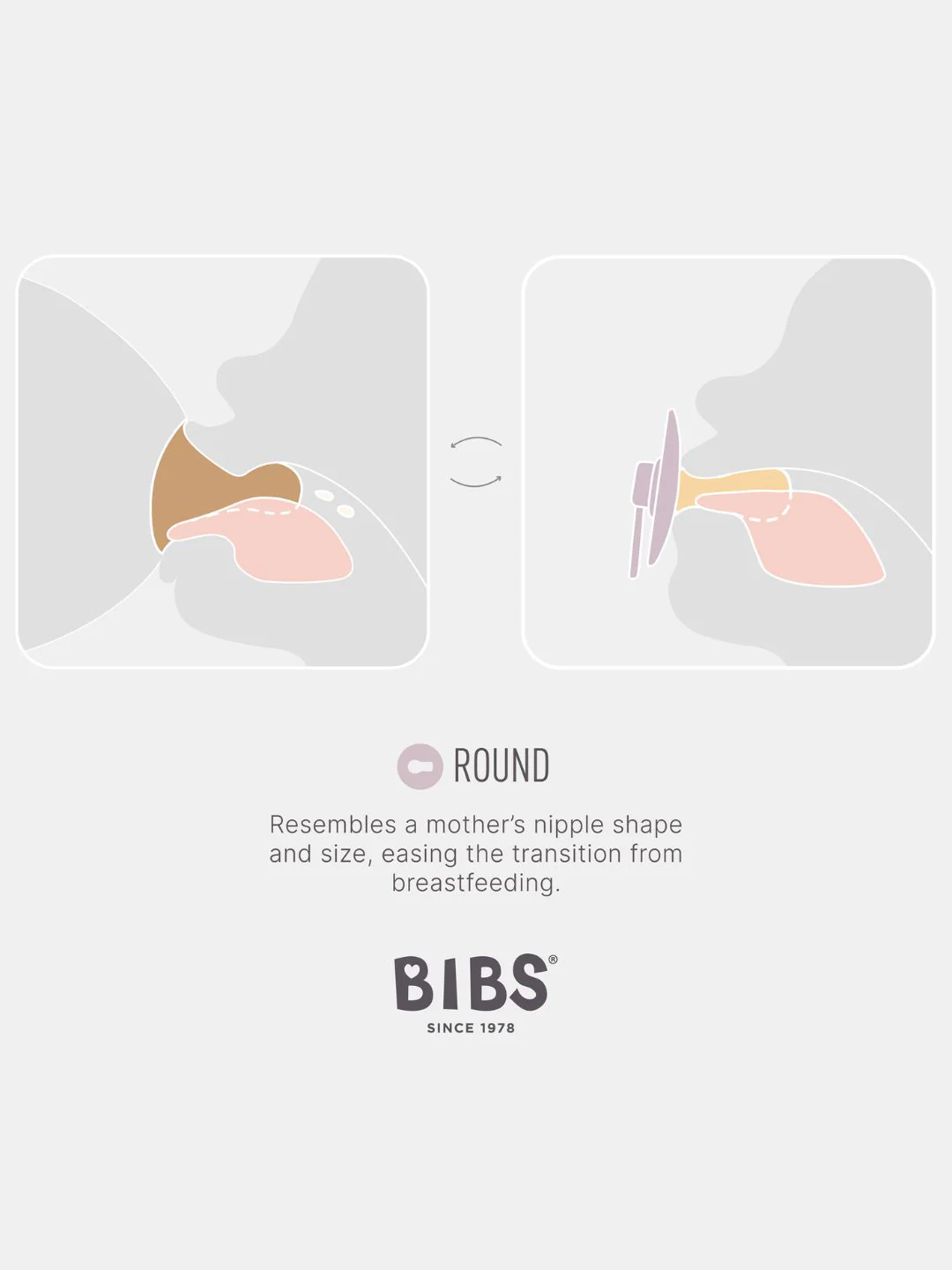 BIBS klaasist lutipudel 225 ml koos tarvikutega