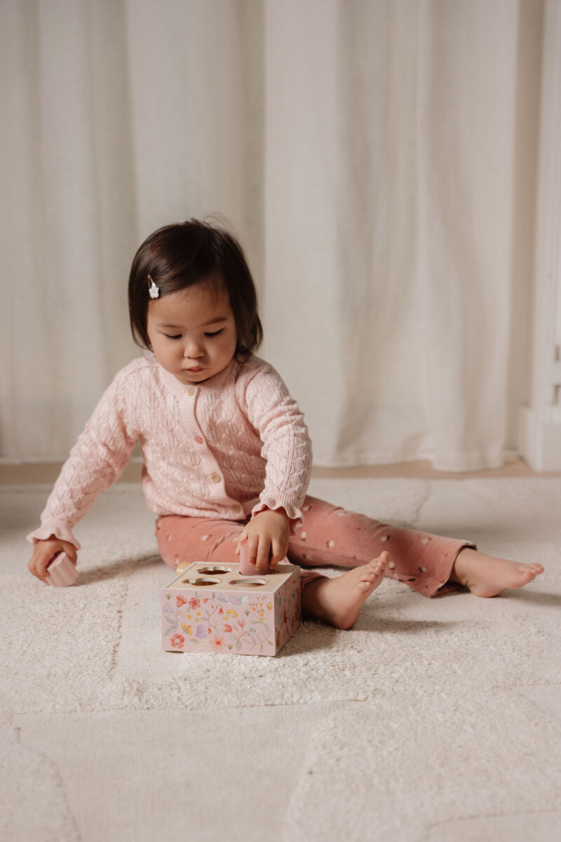 Little Dutch puidust sorteerimismäng beebidele ja väikelastele