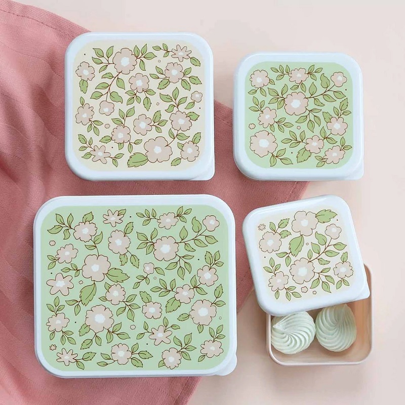 kaasaskantav söögikarp kaanega eemaldatava sisuga lõunasöögikarp toidunõu toidukarp toiduanum