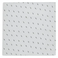jollein 70x70 orgaanilised musliinilapid ja beebilapid