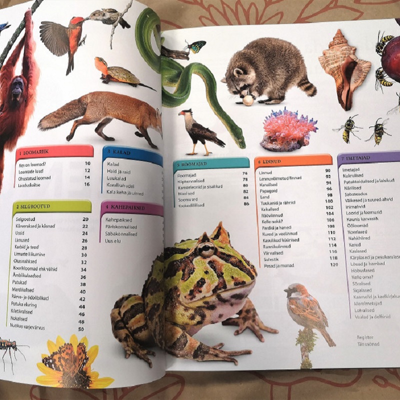 Raamat „Loomade entsüklopeedia“ kõvade kaantega Illustratsiooniderohke entsüklopeedia loomariigist