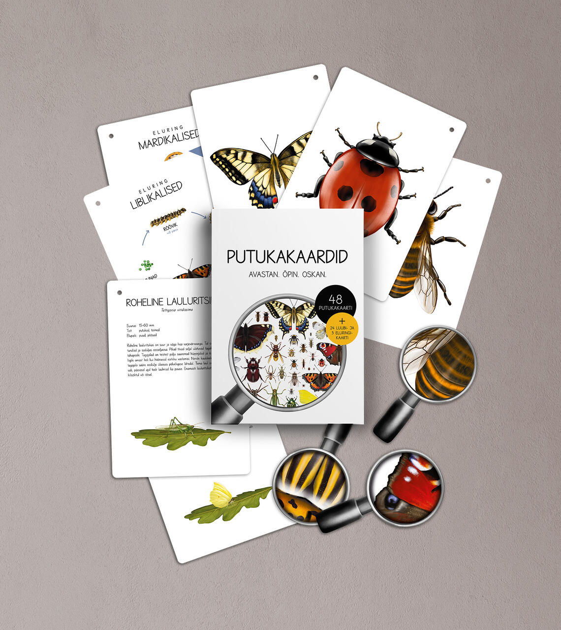 Putukakaardid „Avastan. Õpin. Oskan“ – Eesti putukaliikide õppekaardid