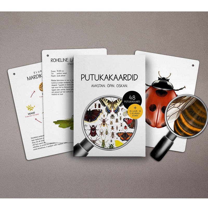 Putukakaardid „Avastan. Õpin. Oskan“ – Eesti putukaliikide õppekaardid