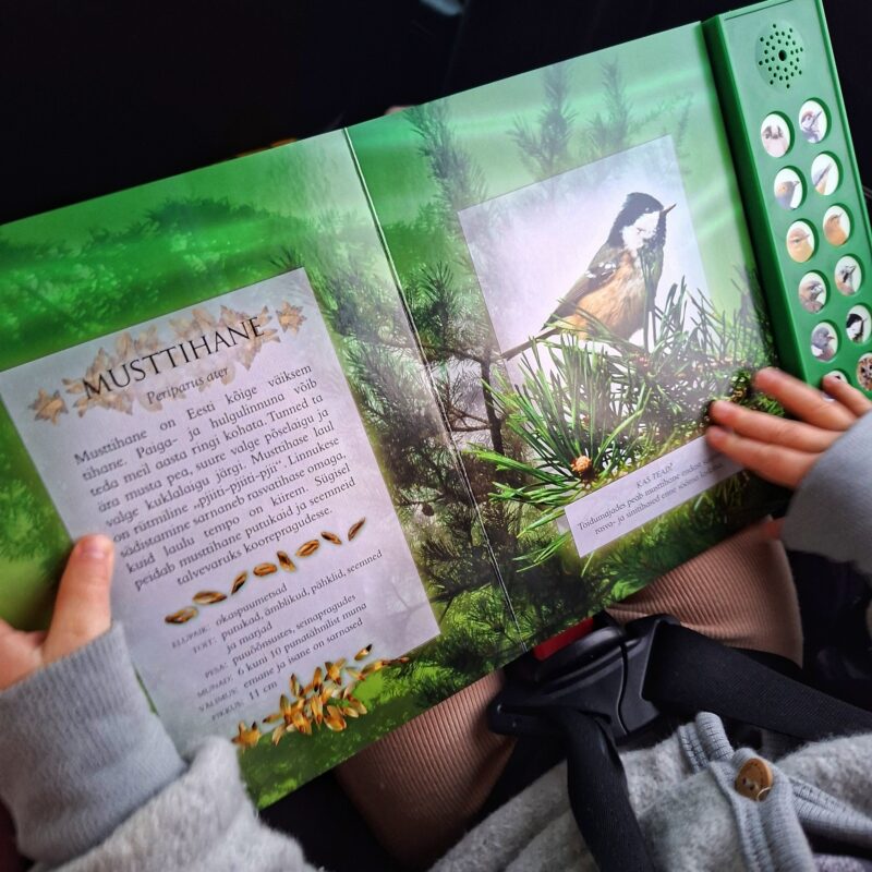 Realistlike helide ja fotodega raamat "Kuula metsalinde"
