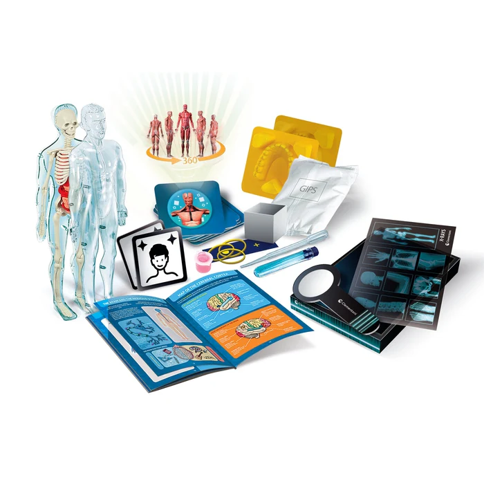 Clementoni inimkeha õppekomplekt lastele – anatoomia mudel