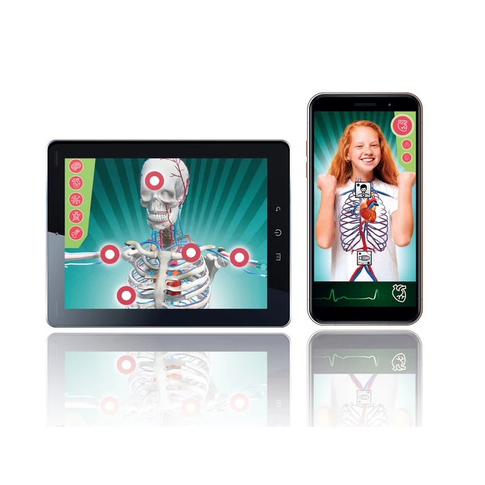 Clementoni inimkeha õppekomplekt lastele – anatoomia mudel