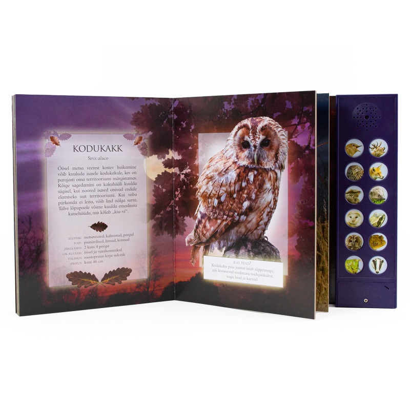 Realistlike helide ja fotodega raamat öistest loomadest Heliraamat "Kes seal öösel häält teeb?" – 12 ehtsat loomaheli