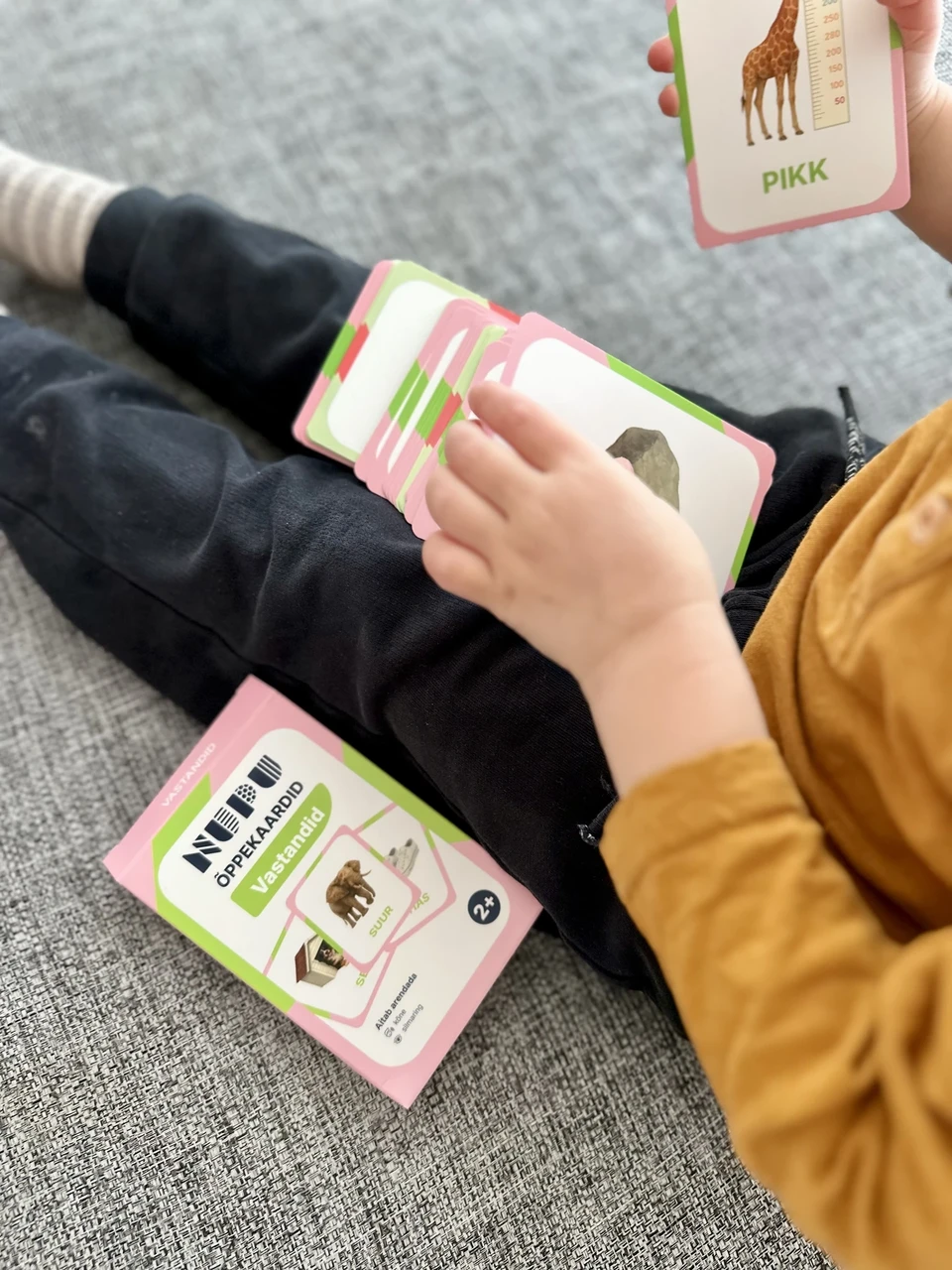 Vastandite õppekaardid lastele – realistlikud pildid Montessori sõnavara kaardid vastandite õppimiseks