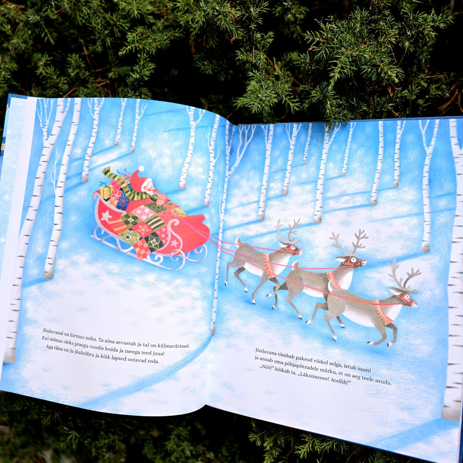 Jõuluvana ja linnud – südamlik jõulujutt lastele