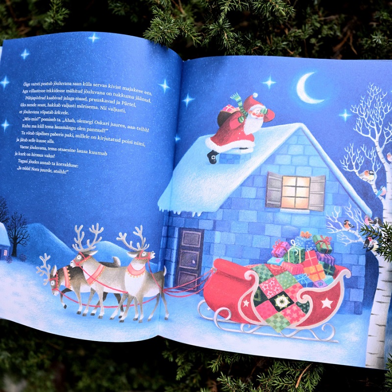 Jõuluvana ja linnud – südamlik jõulujutt lastele