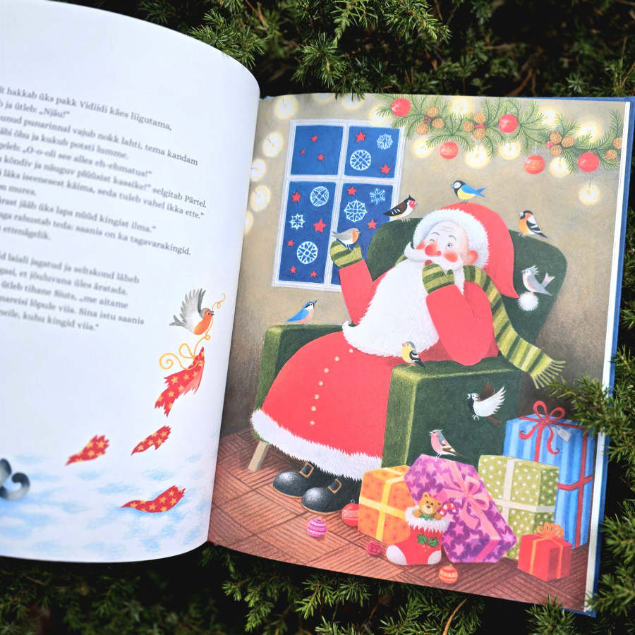 Jõuluvana ja linnud – südamlik jõulujutt lastele