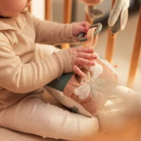 Jollein Riputatav aktiivsuskuubik ja beebimänguasi Aktiivsuskuubik