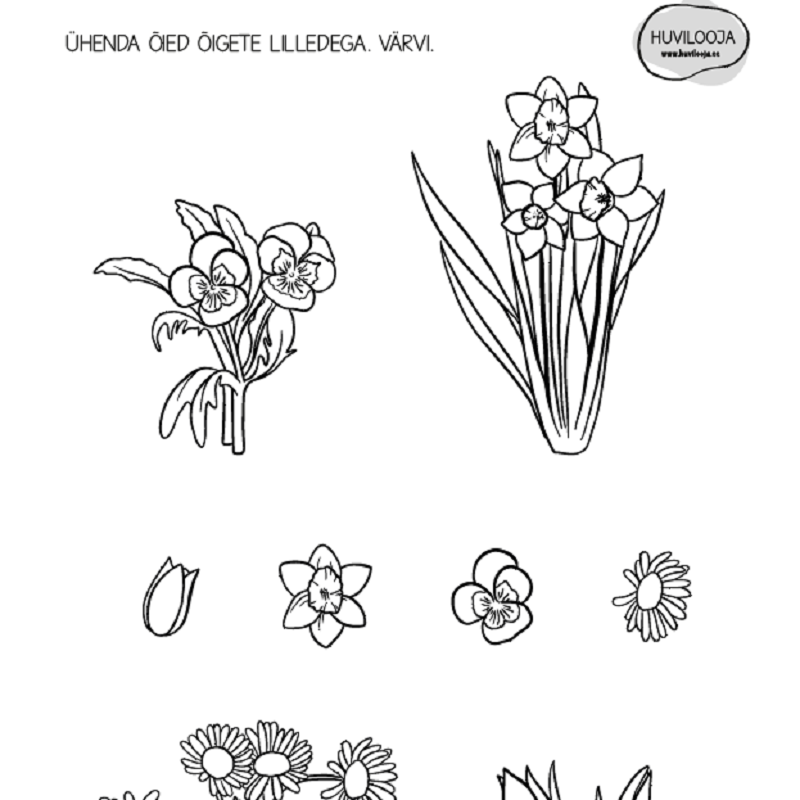 prinditav tööleht lastele eesti keeles