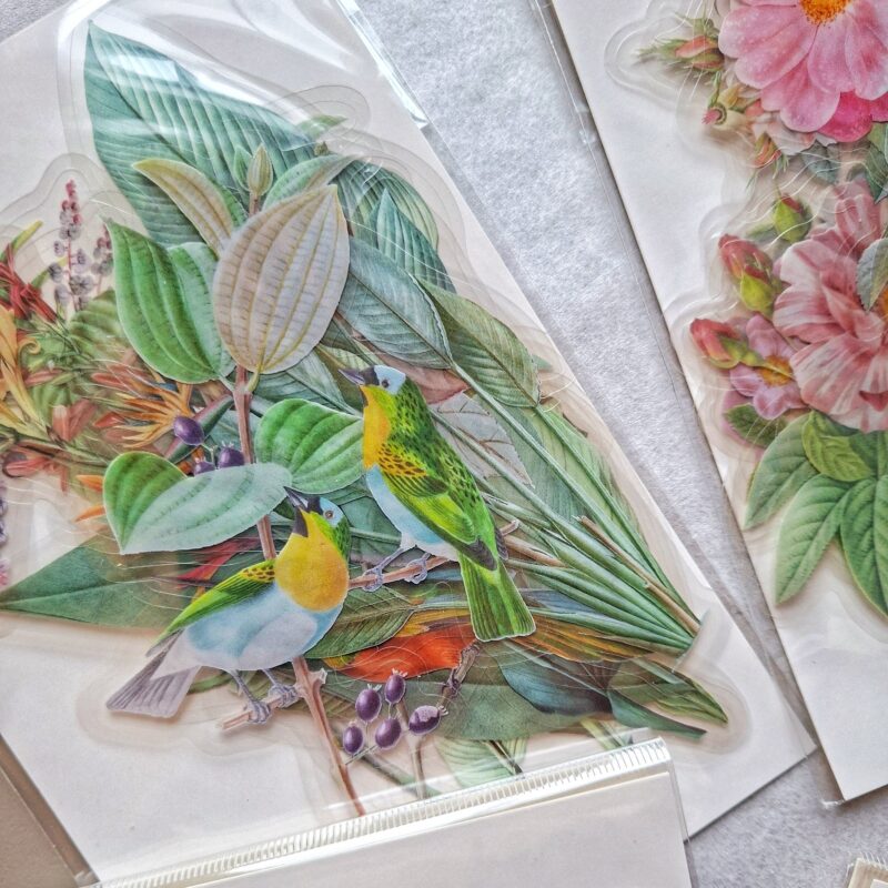 Realistlikud läbipaistva taustaga kleepsud "Eksootiline aed" 12 tk