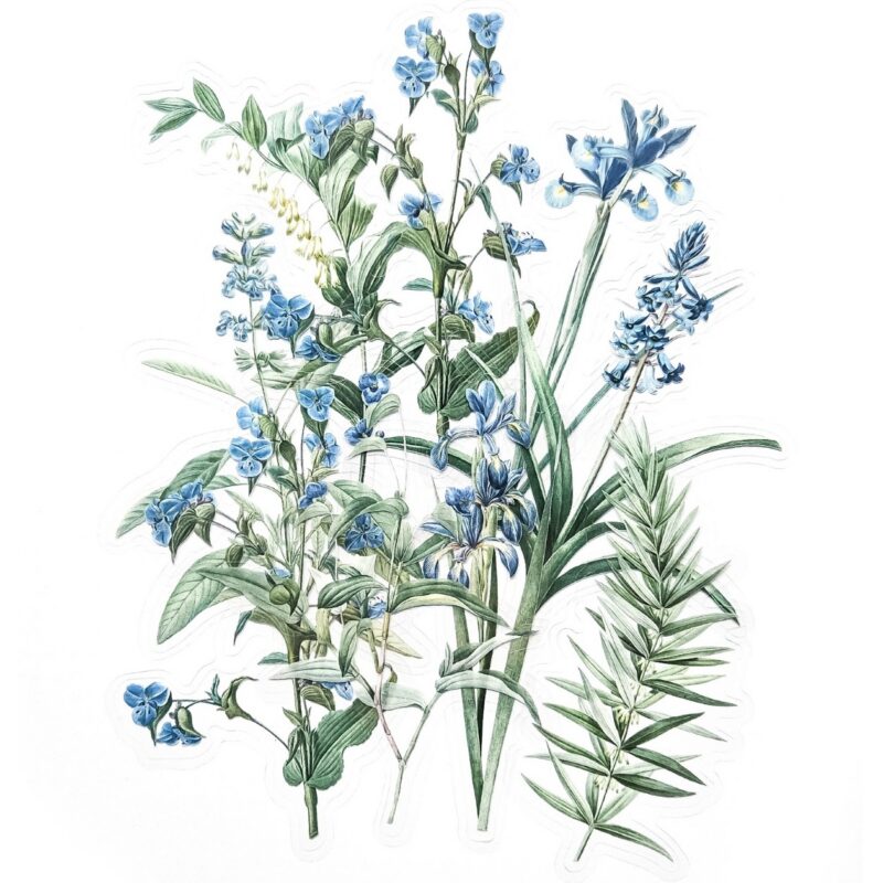 Botaanilised kleebised märkmikusse ja scrapbookinguks kleepsud ja kleepekad realistlike lillede ja okstega