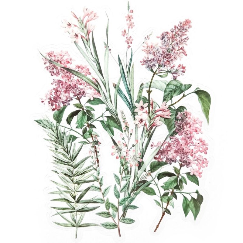 Botaanilised kleebised märkmikusse ja scrapbookinguks kleepsud ja kleepekad realistlike lillede ja okstega