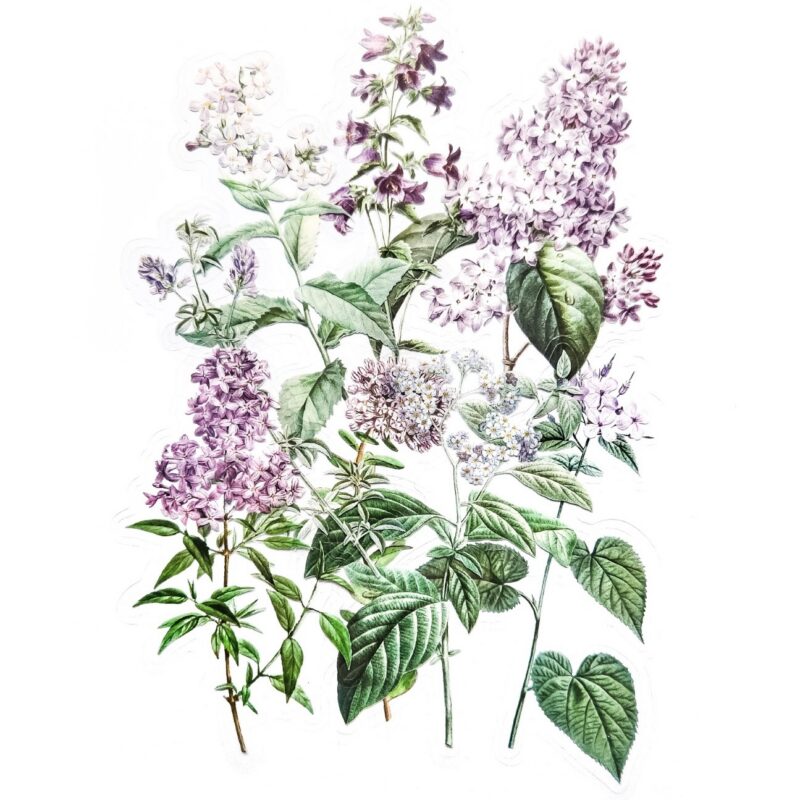 Botaanilised kleebised märkmikusse ja scrapbookinguks kleepsud ja kleepekad realistlike lillede ja okstega