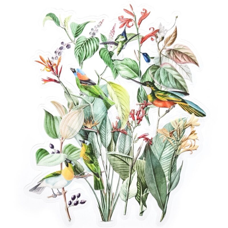 Botaanilised kleebised märkmikusse ja scrapbookinguks kleepsud ja kleepekad realistlike lillede ja lindudega