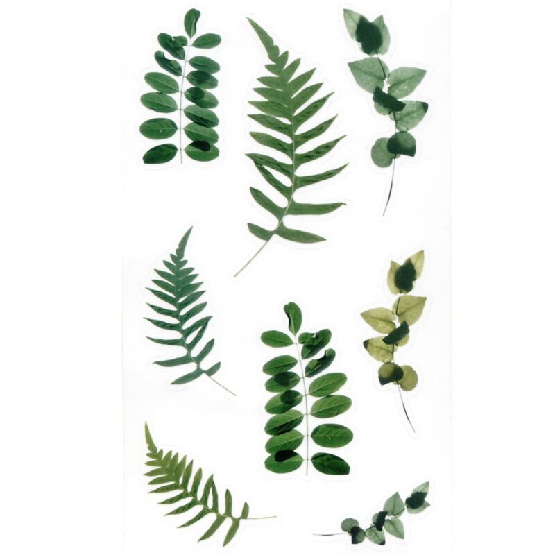 Botaanilised kleebised märkmikusse ja scrapbookinguks kleepsud ja kleepekad realistlike lillede ja okstega