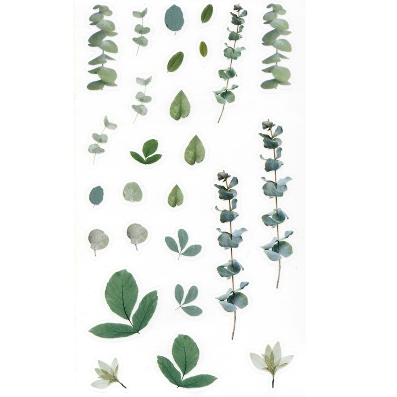 Botaanilised kleebised märkmikusse ja scrapbookinguks kleepsud ja kleepekad realistlike lillede ja okstega