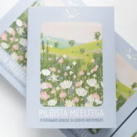 Pildista Meeltega avastuskaardid ja fotokaardid lastele looduse märkamiseks Pildista Meeltega avastuskaardid ja fotokaardid lastele looduse märkamiseks