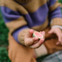 Grapat Fruits käsitsi värvitud puidust puuviljad poe- ja köögimänguks Grapat Fruits käsitsi värvitud puidust puuviljad poe- ja köögimänguks