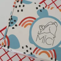 MICI voolimiskomplekt plastiliinide ja vormidega